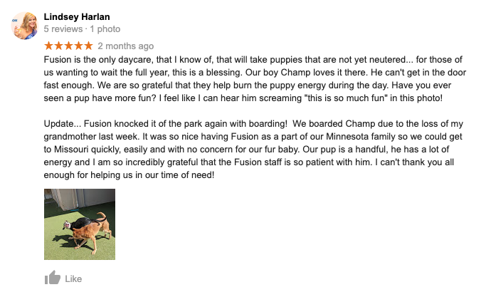 Fusion Pet Retreat Testimonial Positive Review 2